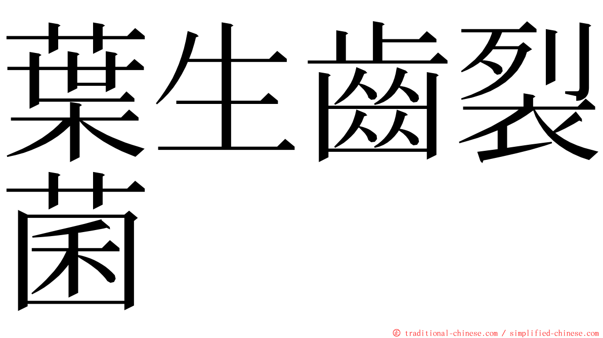 葉生齒裂菌 ming font