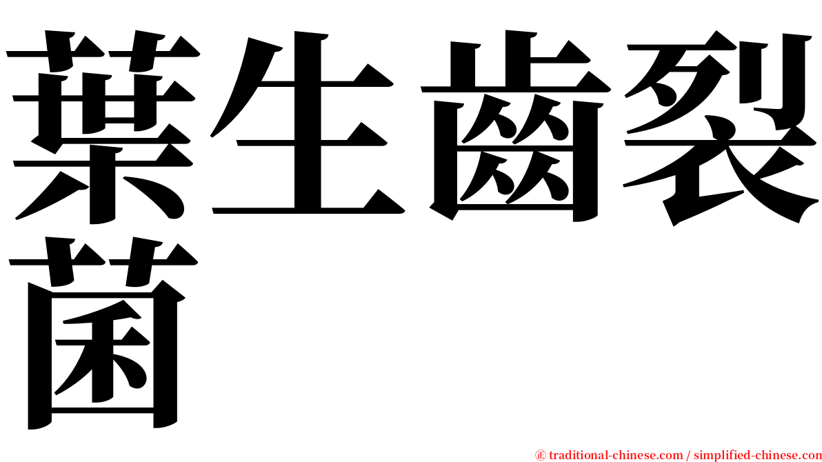 葉生齒裂菌 serif font