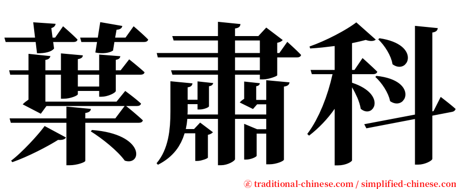 葉肅科 serif font