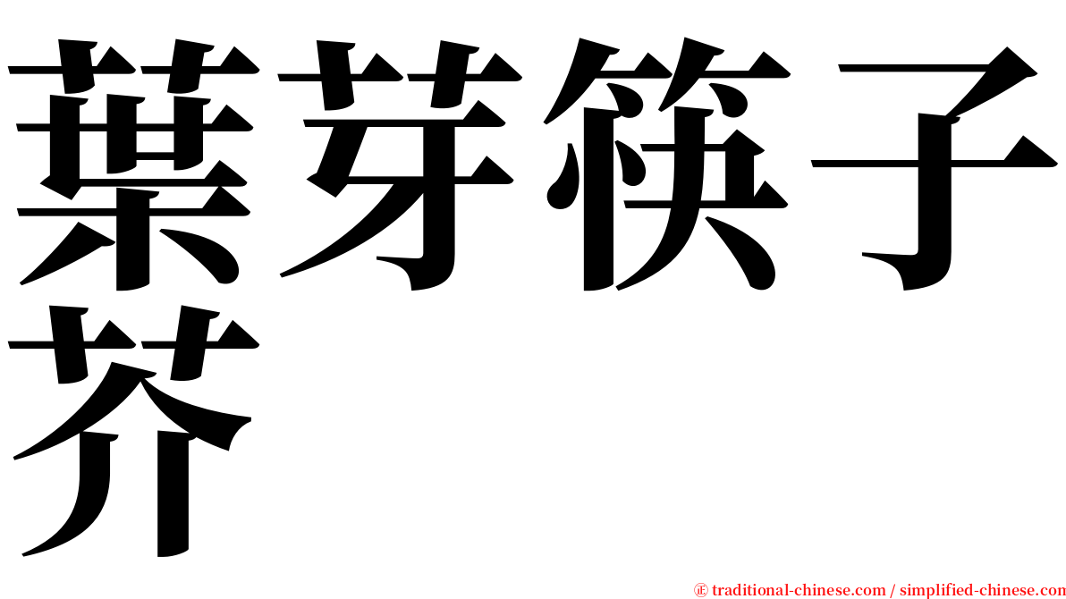 葉芽筷子芥 serif font