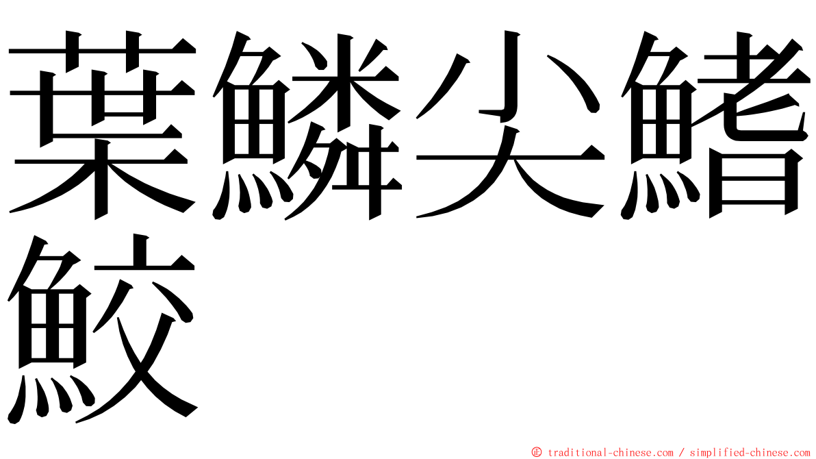 葉鱗尖鰭鮫 ming font