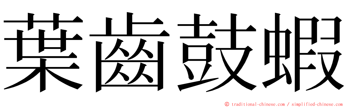 葉齒鼓蝦 ming font