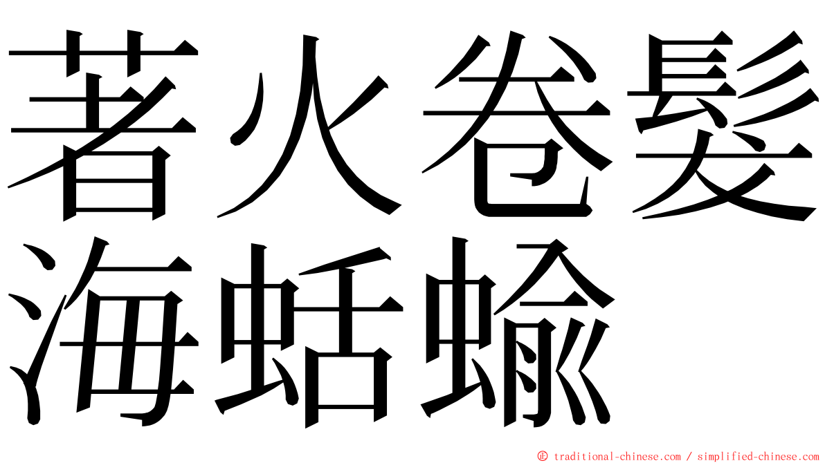 著火卷髮海蛞蝓 ming font