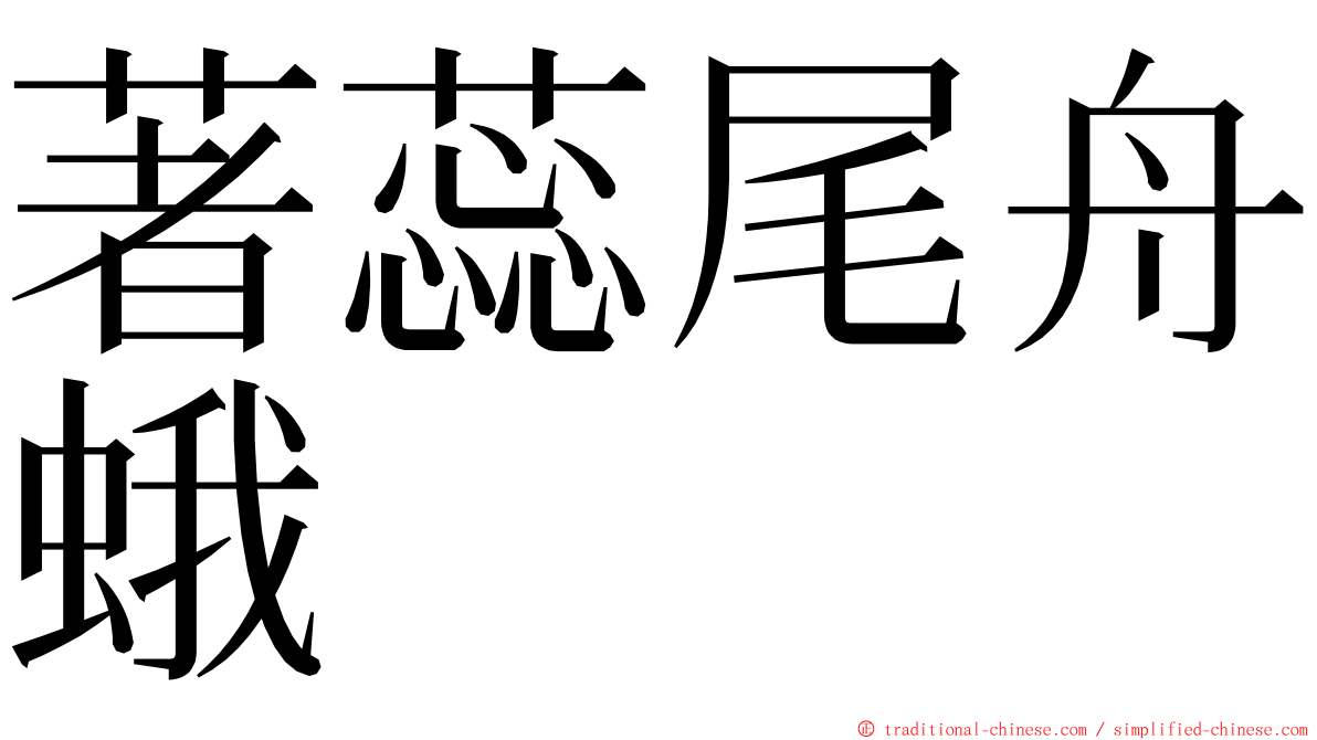 著蕊尾舟蛾 ming font