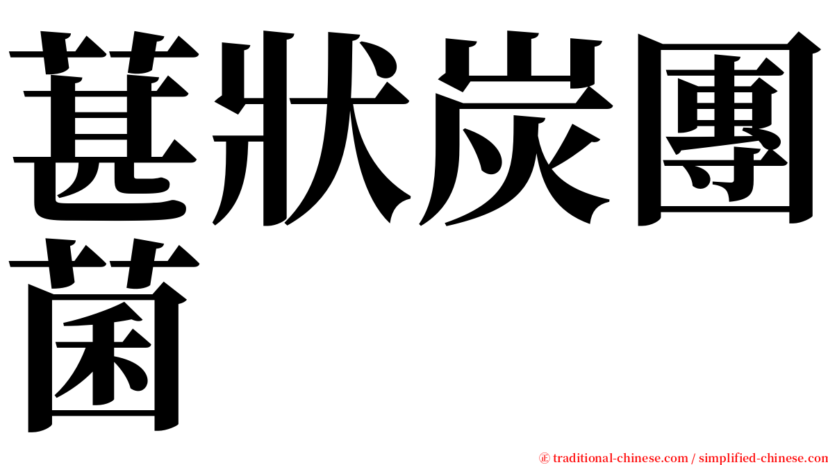 葚狀炭團菌 serif font
