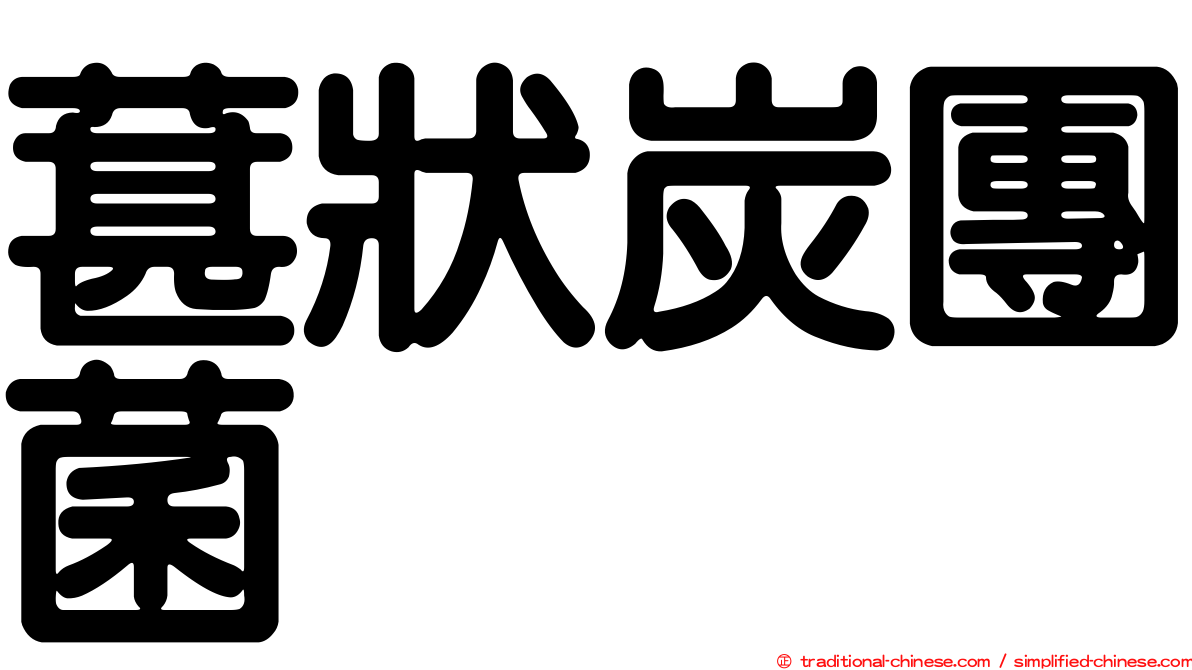 葚狀炭團菌