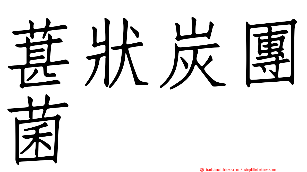 葚狀炭團菌