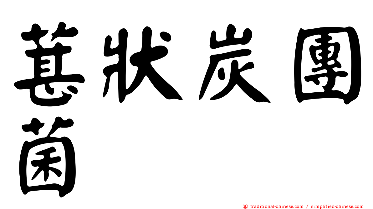 葚狀炭團菌