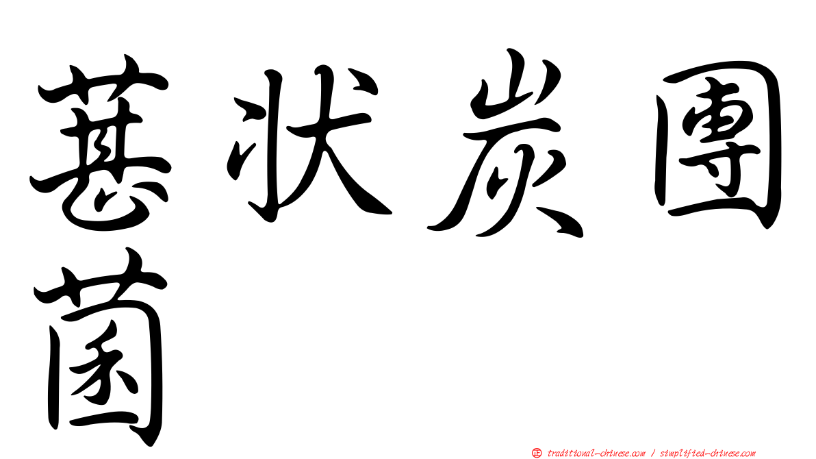 葚狀炭團菌