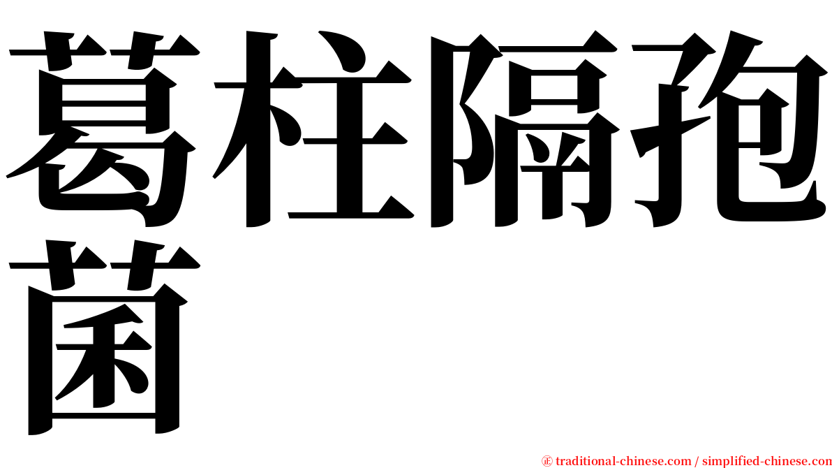 葛柱隔孢菌 serif font