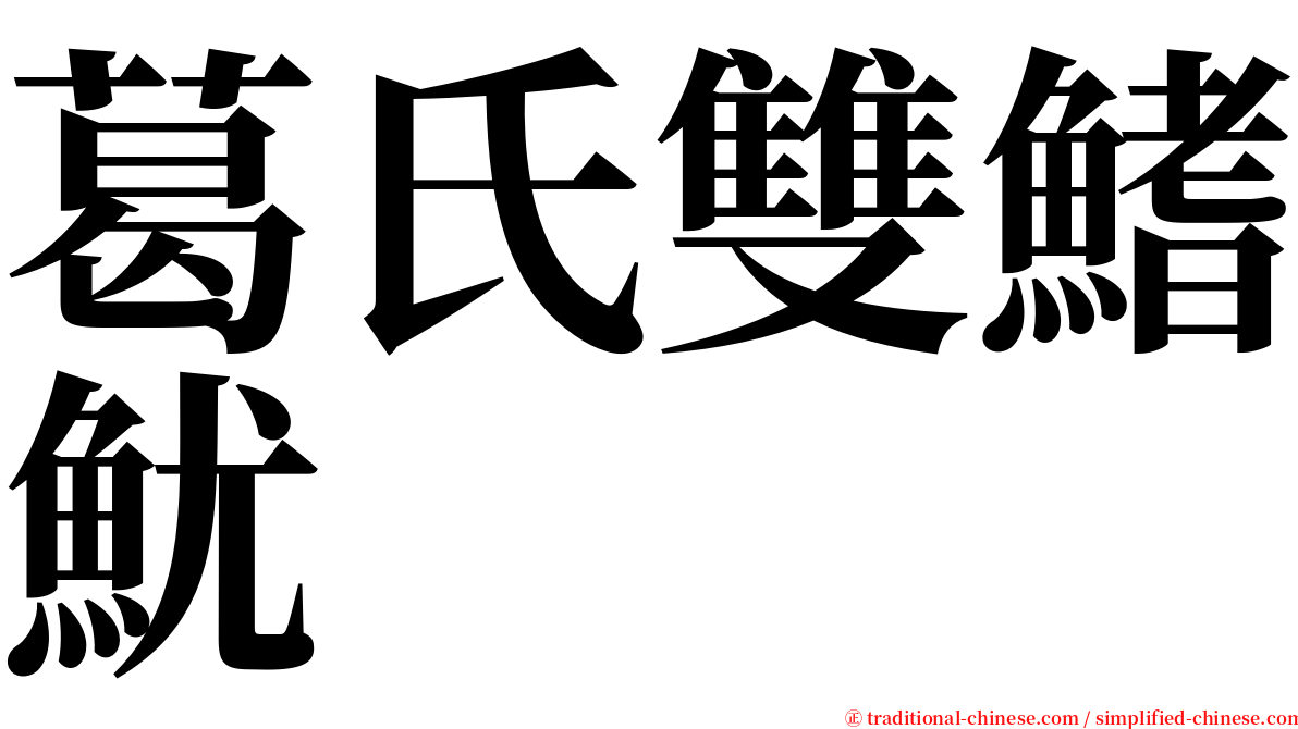 葛氏雙鰭魷 serif font