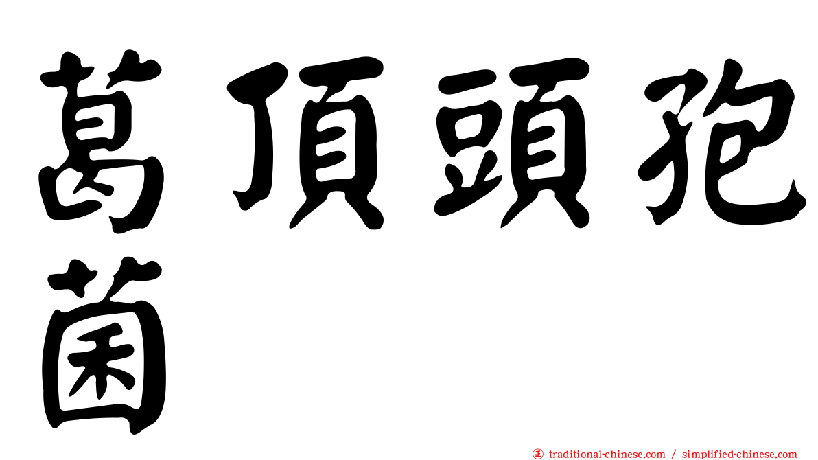 葛頂頭孢菌