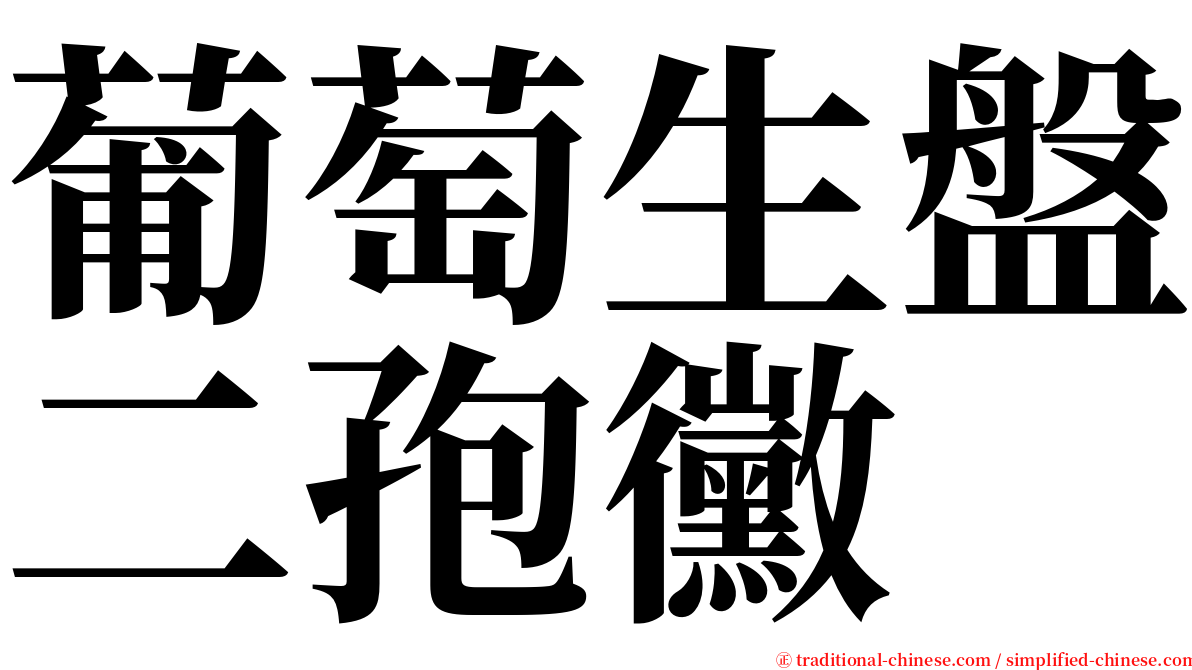 葡萄生盤二孢黴 serif font