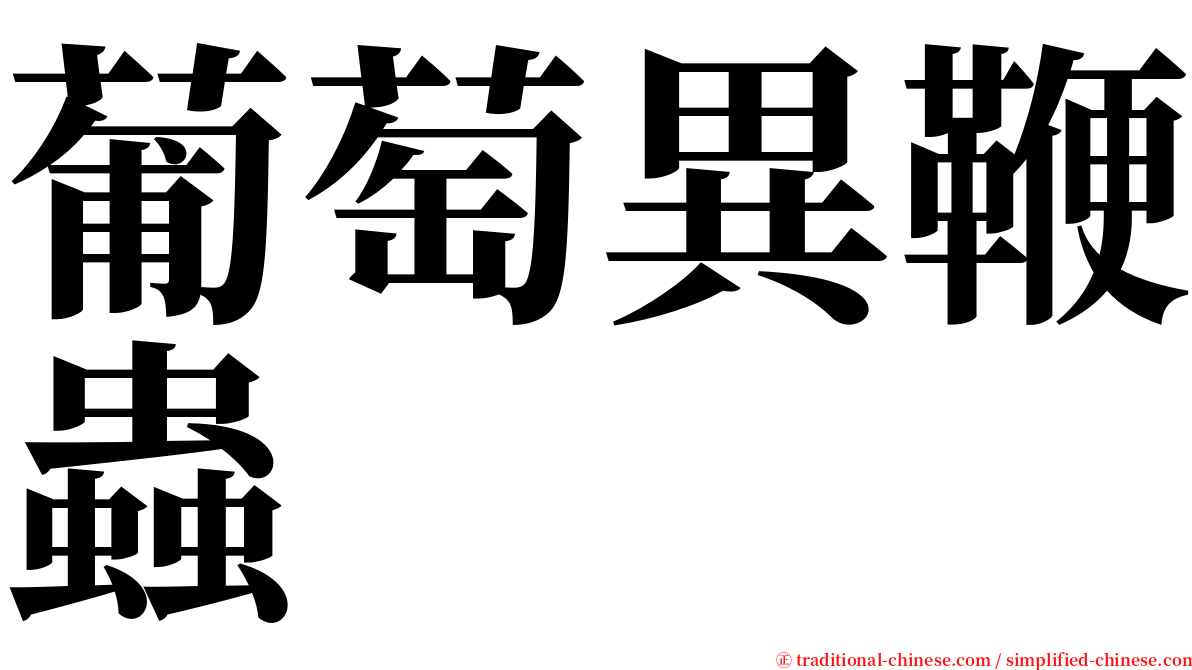 葡萄異鞭蟲 serif font