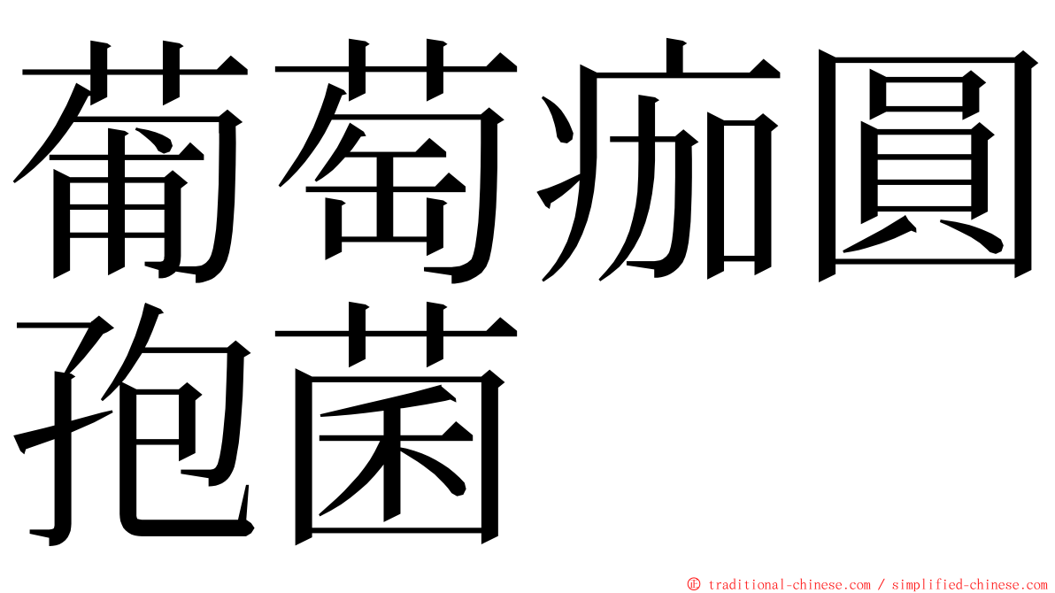 葡萄痂圓孢菌 ming font