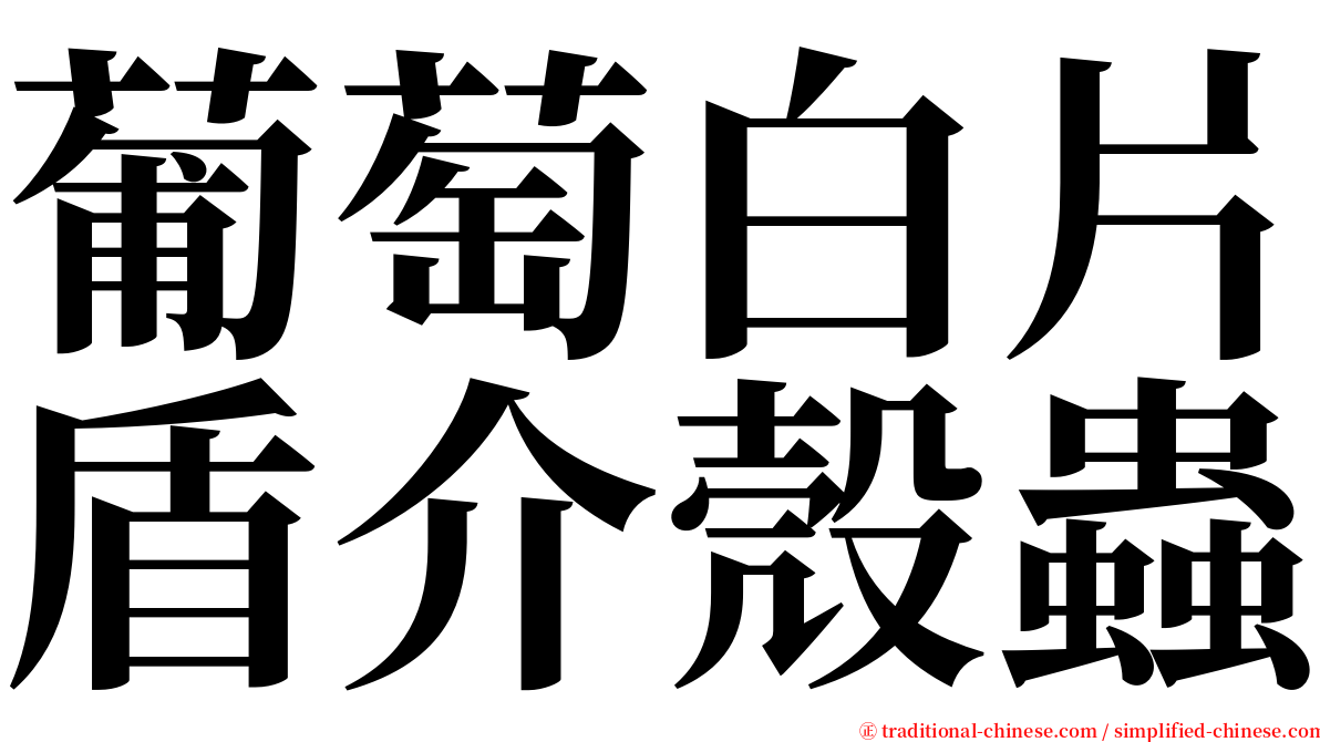 葡萄白片盾介殼蟲 serif font