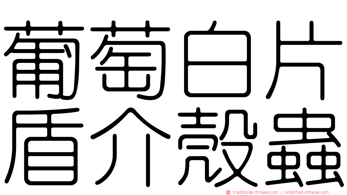 葡萄白片盾介殼蟲