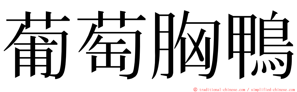 葡萄胸鴨 ming font