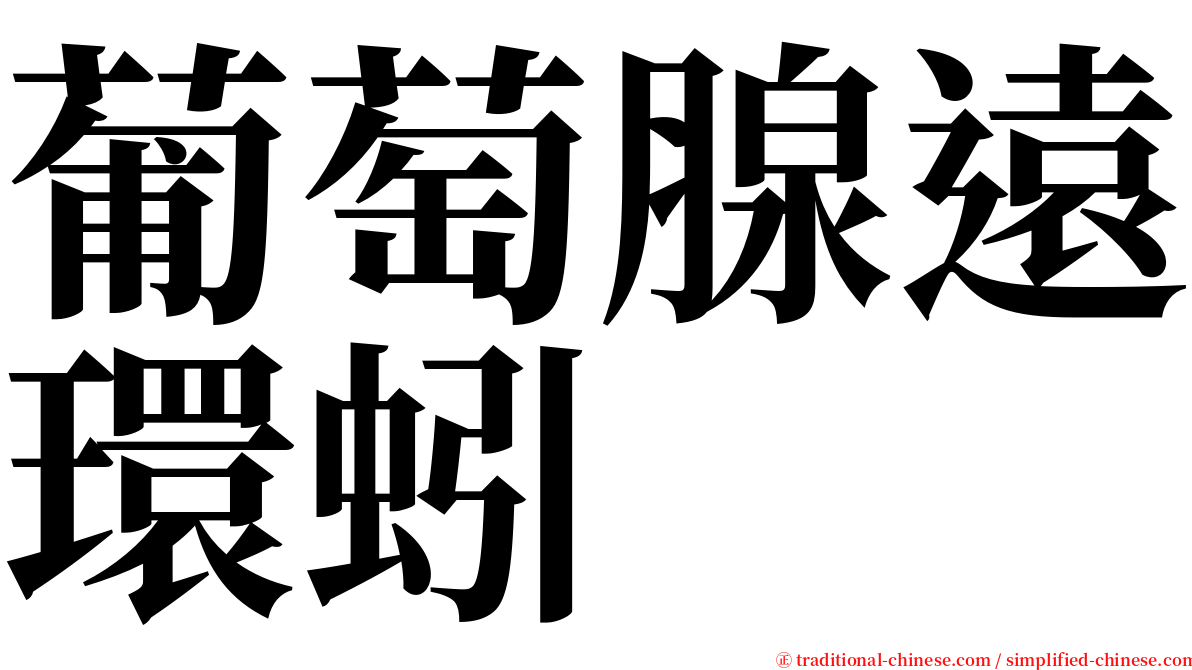 葡萄腺遠環蚓 serif font