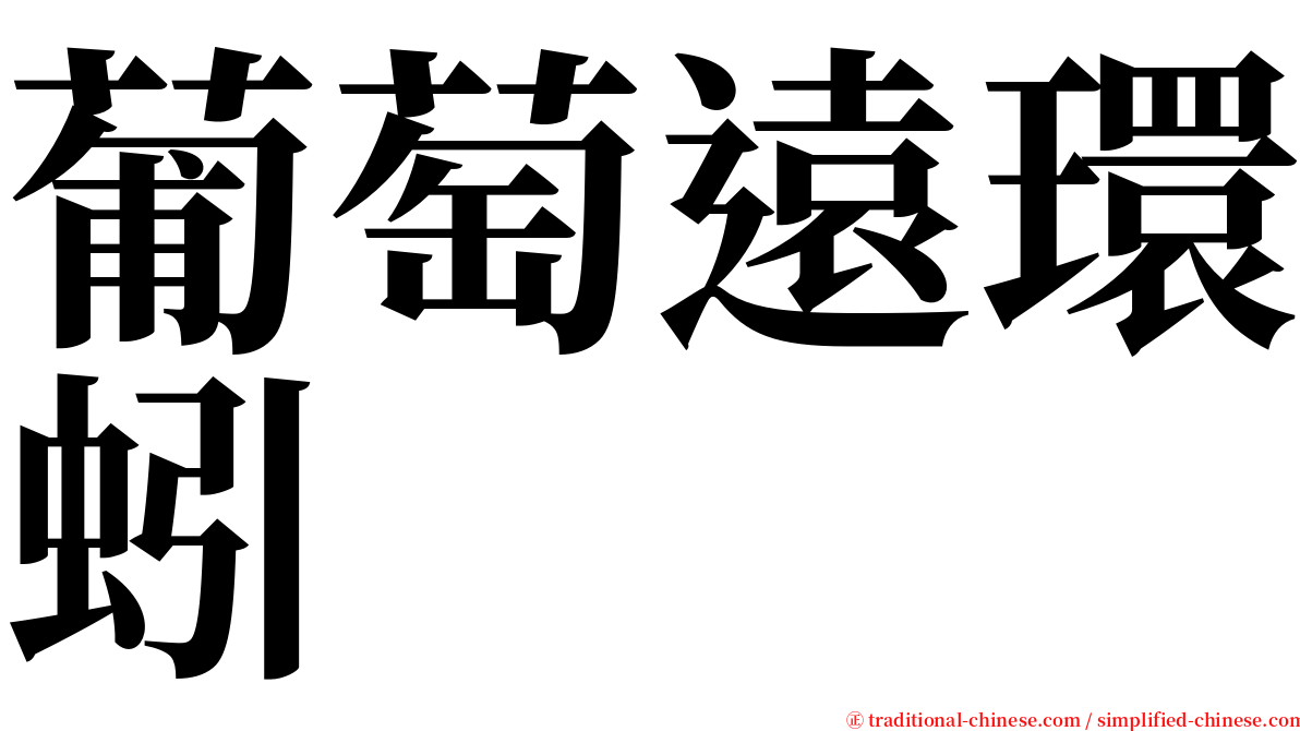 葡萄遠環蚓 serif font