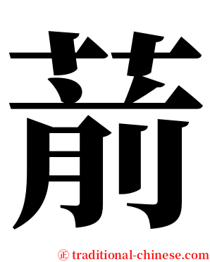 葥 serif font