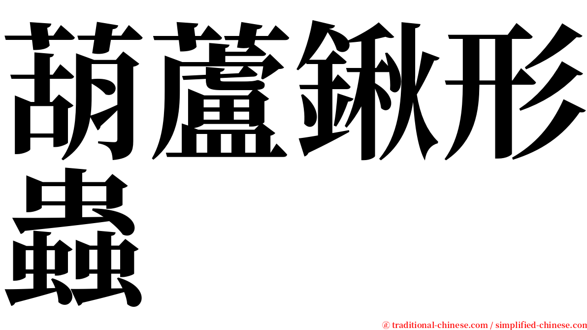 葫蘆鍬形蟲 serif font