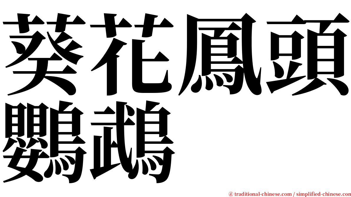 葵花鳳頭鸚鵡 serif font