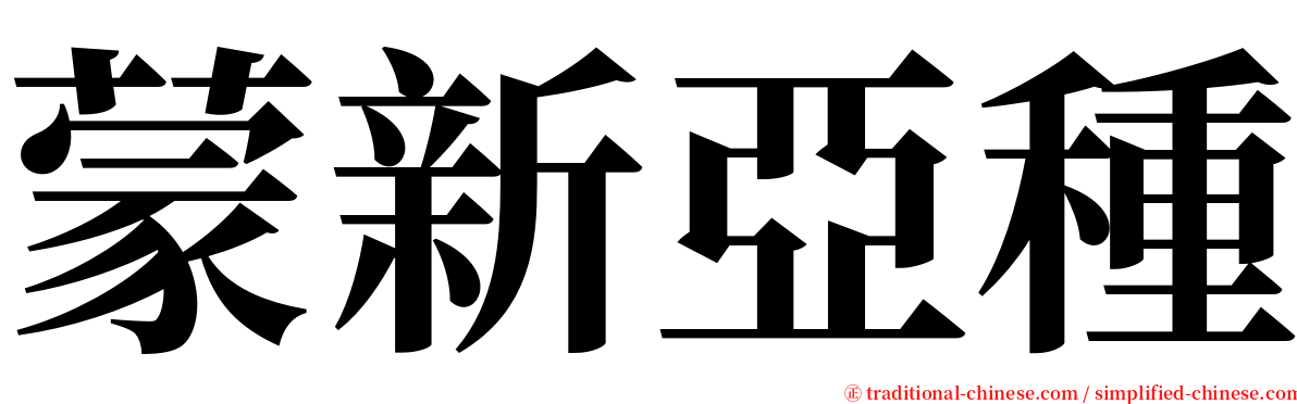 蒙新亞種 serif font