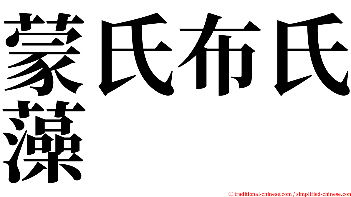 蒙氏布氏藻 serif font