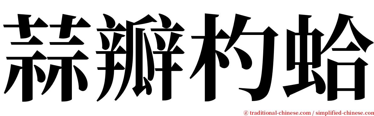 蒜瓣杓蛤 serif font