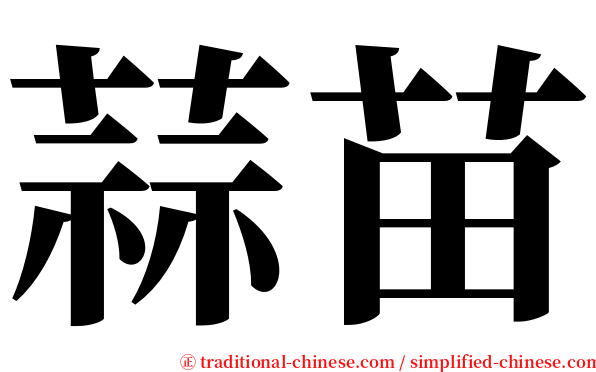 蒜苗 serif font