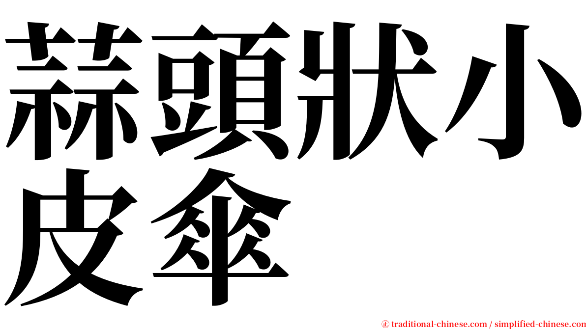 蒜頭狀小皮傘 serif font