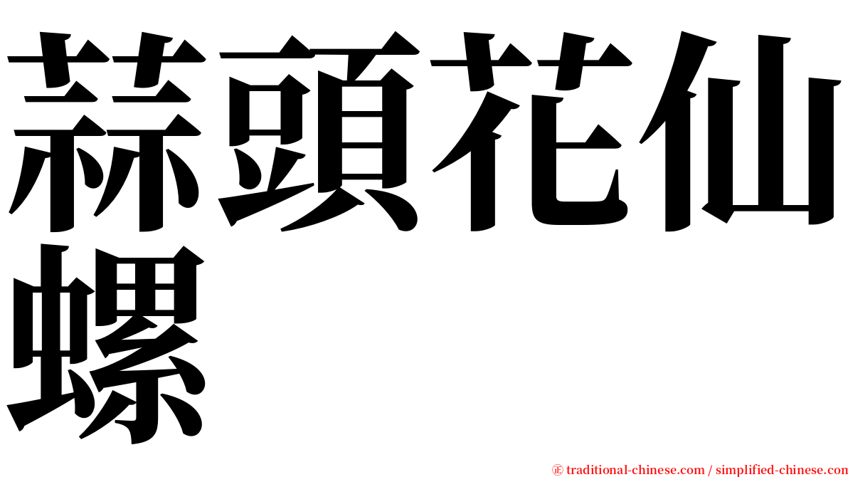 蒜頭花仙螺 serif font