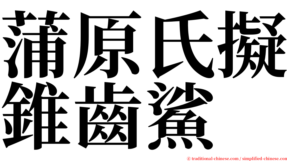 蒲原氏擬錐齒鯊 serif font