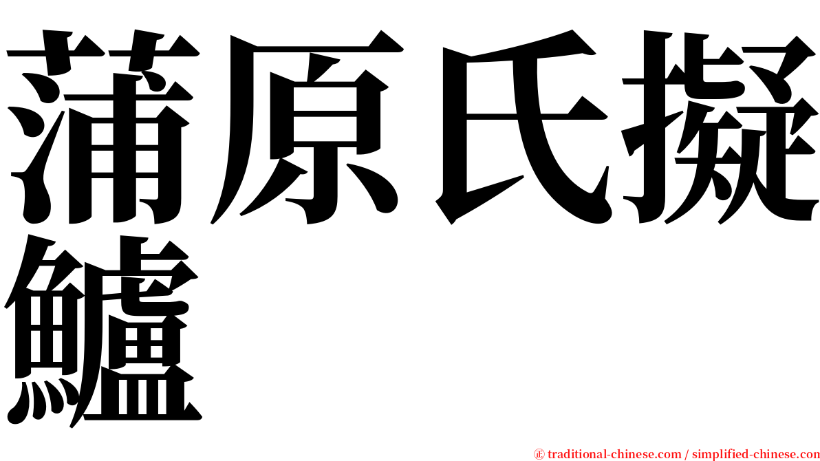 蒲原氏擬鱸 serif font