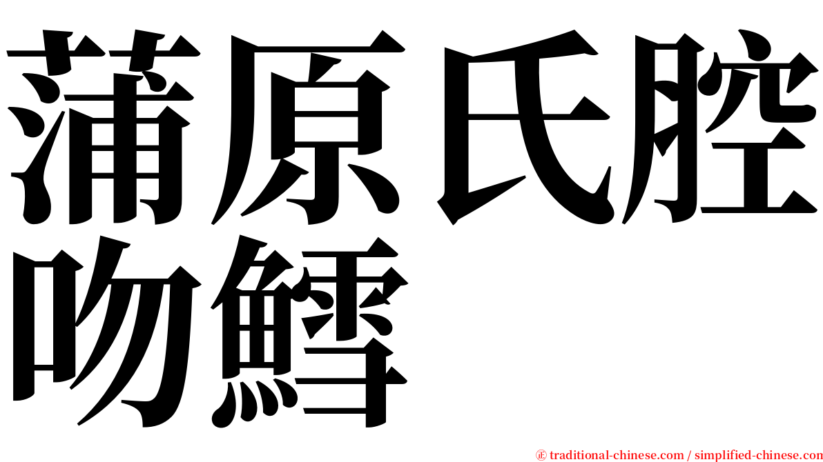 蒲原氏腔吻鱈 serif font