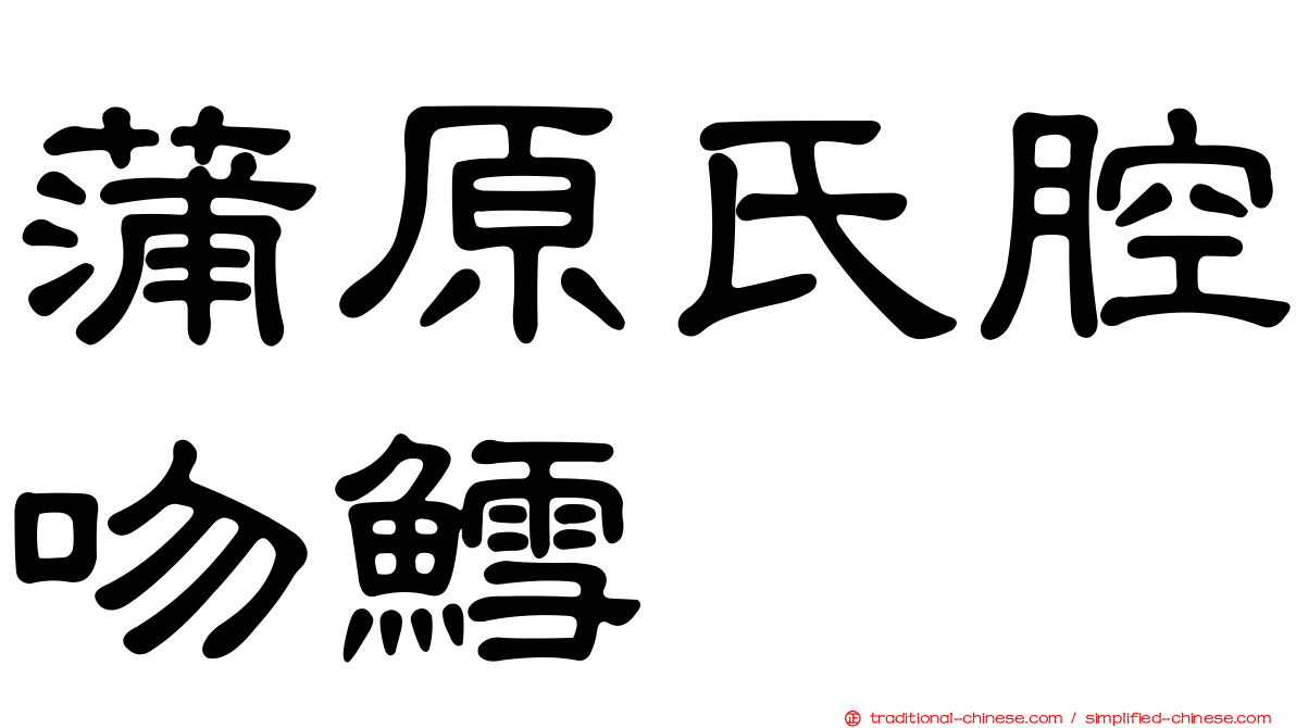 蒲原氏腔吻鱈