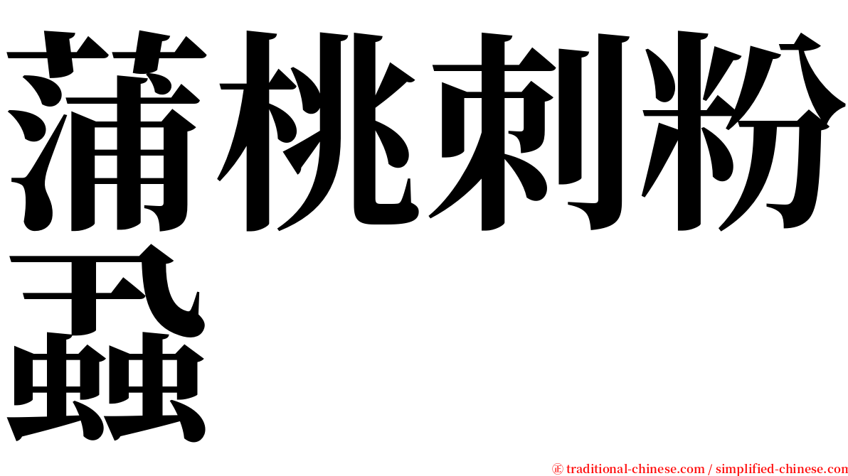 蒲桃刺粉蝨 serif font