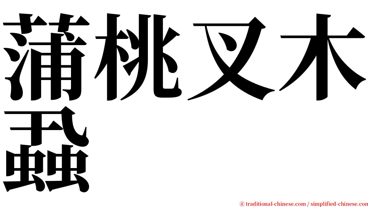 蒲桃叉木蝨 serif font