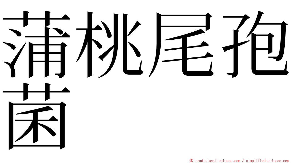 蒲桃尾孢菌 ming font