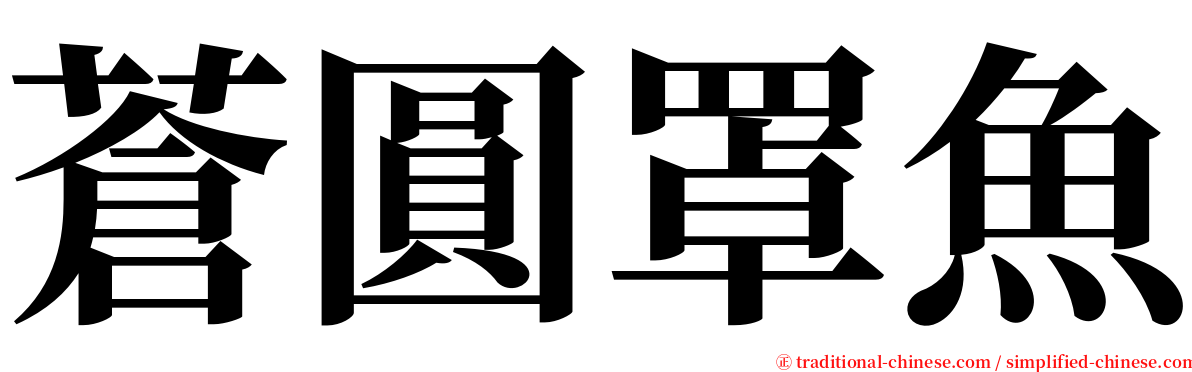 蒼圓罩魚 serif font