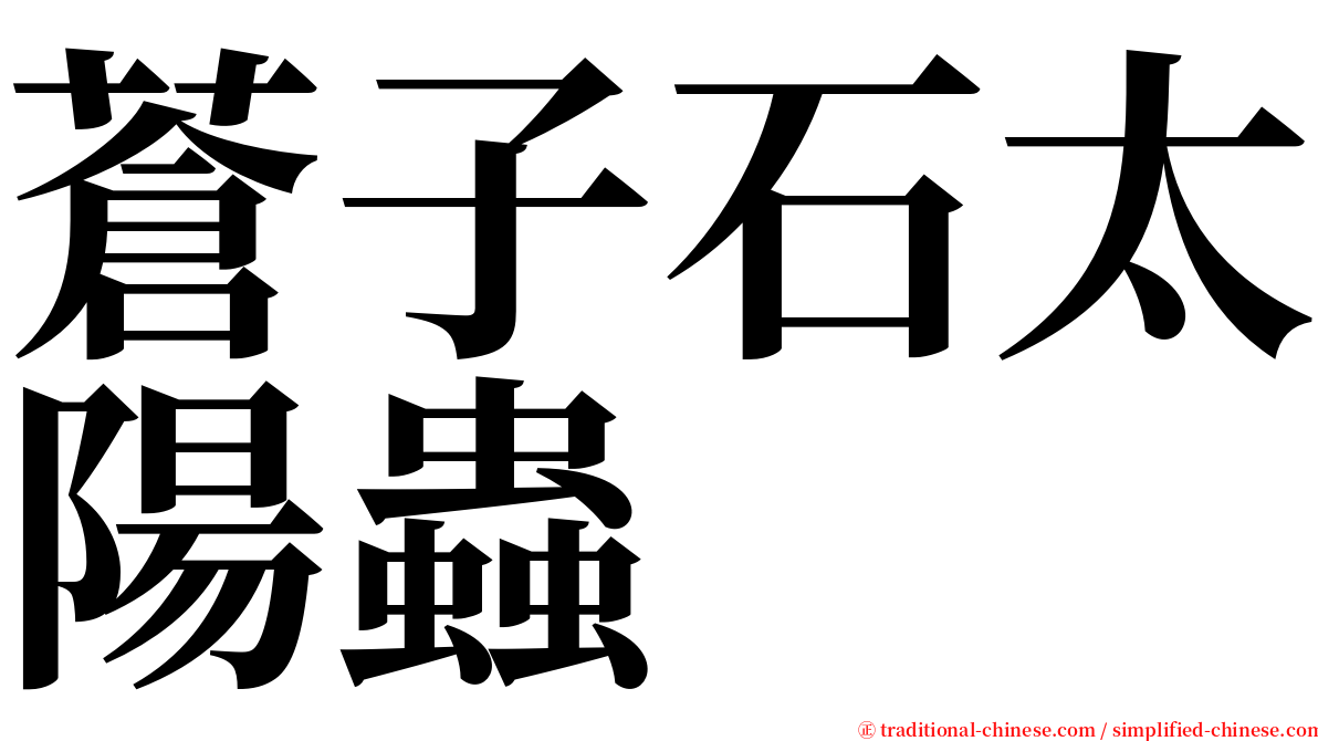 蒼子石太陽蟲 serif font