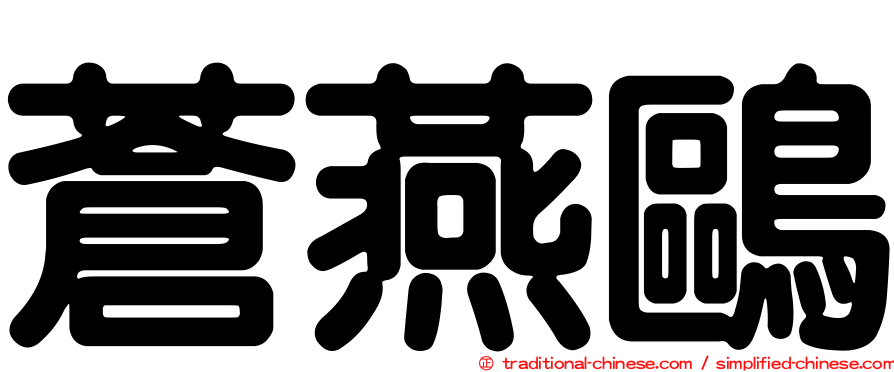 蒼燕鷗