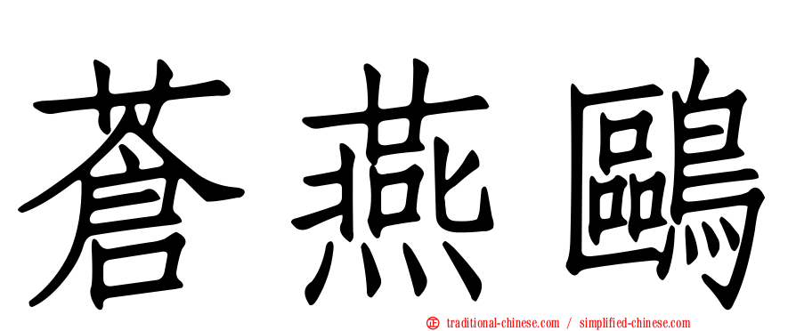 蒼燕鷗
