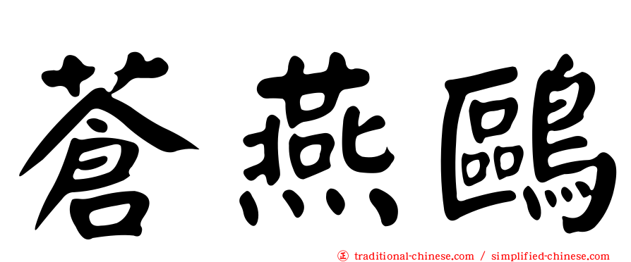 蒼燕鷗