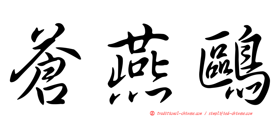 蒼燕鷗