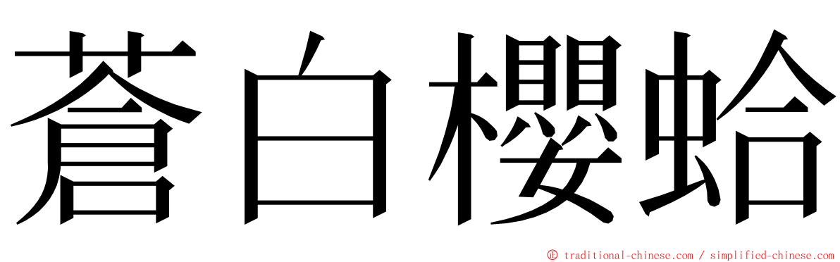 蒼白櫻蛤 ming font