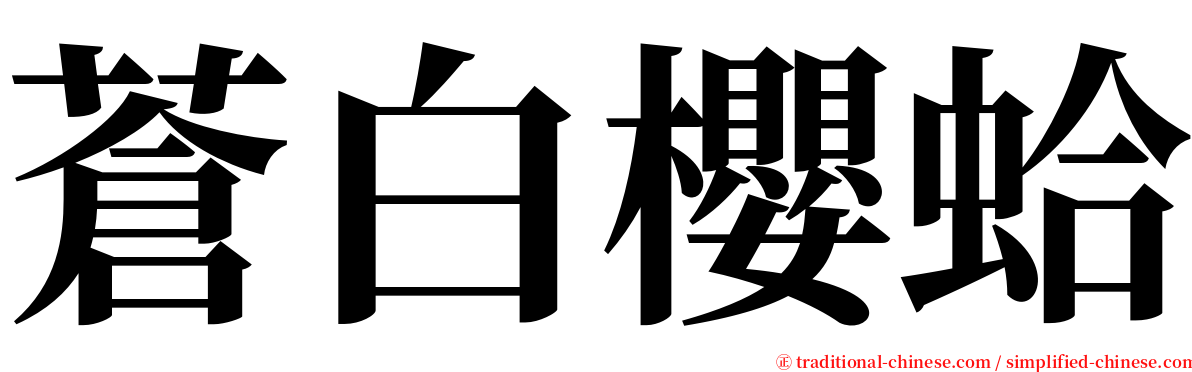 蒼白櫻蛤 serif font