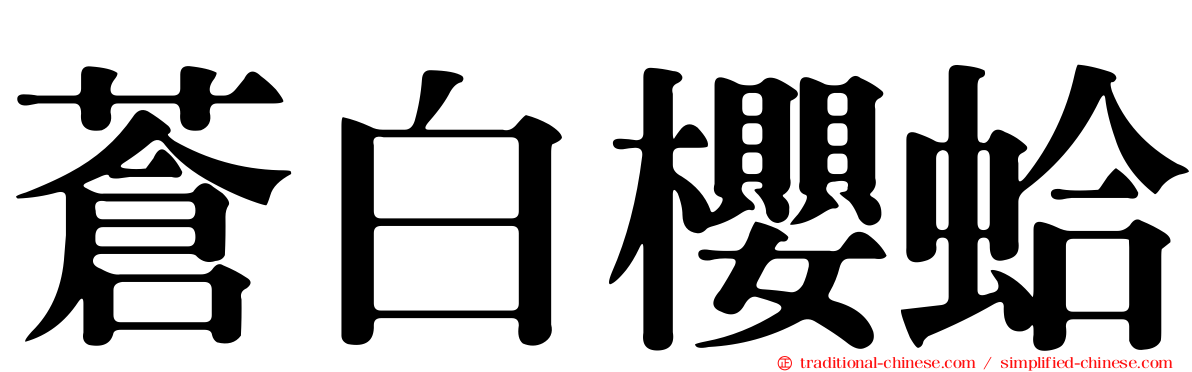 蒼白櫻蛤