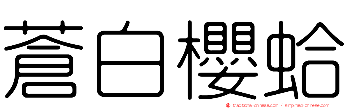 蒼白櫻蛤